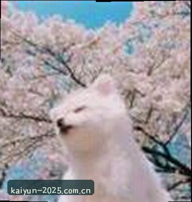 周婷